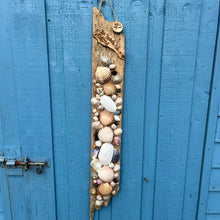 Load image into Gallery viewer, BESPOKE DRIFTWOOD WALLHANGINGS WITH IRISH SHELLS
