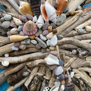 DRIFTWOOD WALL WREATH WITH SHELLS FROM AROUND THE WORLD