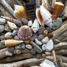 Load image into Gallery viewer, DRIFTWOOD WALL WREATH WITH SHELLS FROM AROUND THE WORLD
